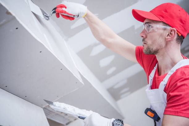 Best HVAC Mold Inspection and Cleaning  in San Juan Pistrano, CA